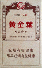 黄金叶(天香)