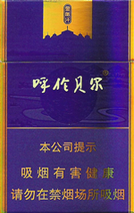 呼伦贝尔(金帐汗)