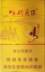 呼伦贝尔(草原情)