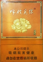 呼伦贝尔(天之韵)