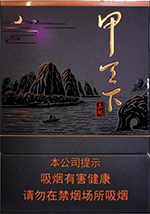 真龙(甲天下中支)